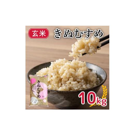 ふるさと納税 山口県 下関市 新米 令和5年産 きぬむすめ 10kg 玄米 やまだ農園 豊田 下関