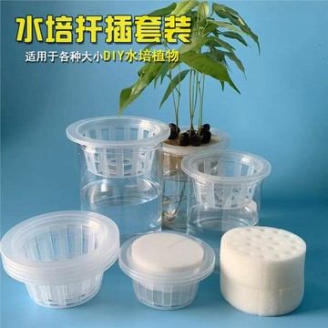 高透亮水培器皿圓柱形花盆豆子多肉荔枝紅薯定植籃扦插棉水培瓶