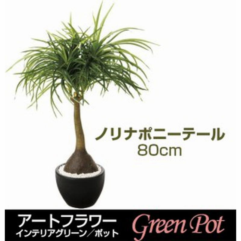 観葉植物 Gla 1177 ノリナポニーテール 造花 アートフラワー 送料無料 通販 Lineポイント最大1 0 Get Lineショッピング