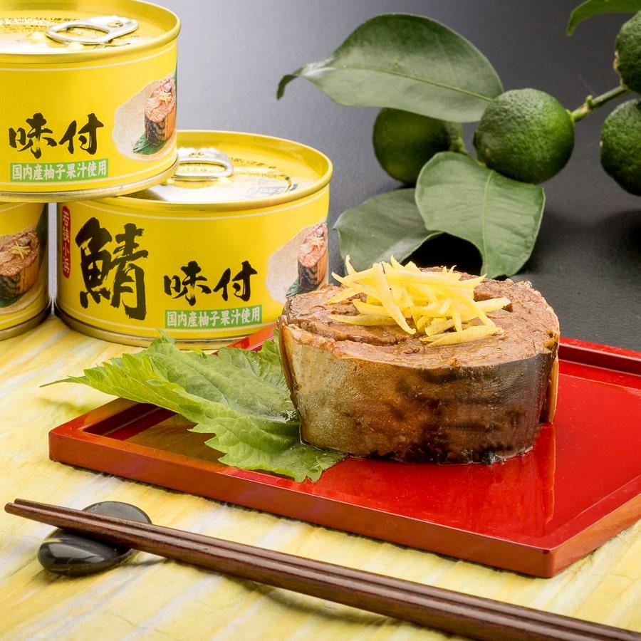 鯖缶 12缶詰め合わせセット（B）缶詰 高級 ギフト おすすめ サバ缶 家飲み おつまみ ノルウェー産 福井缶詰