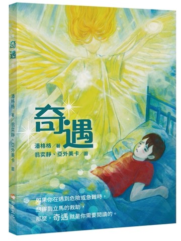 奇遇[二手書_近全新]