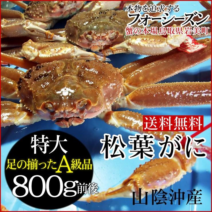 カニ かに 蟹 特産品  予約販売 タグ付：贈答用 松葉がに 生 1枚 800g前後 送料無料