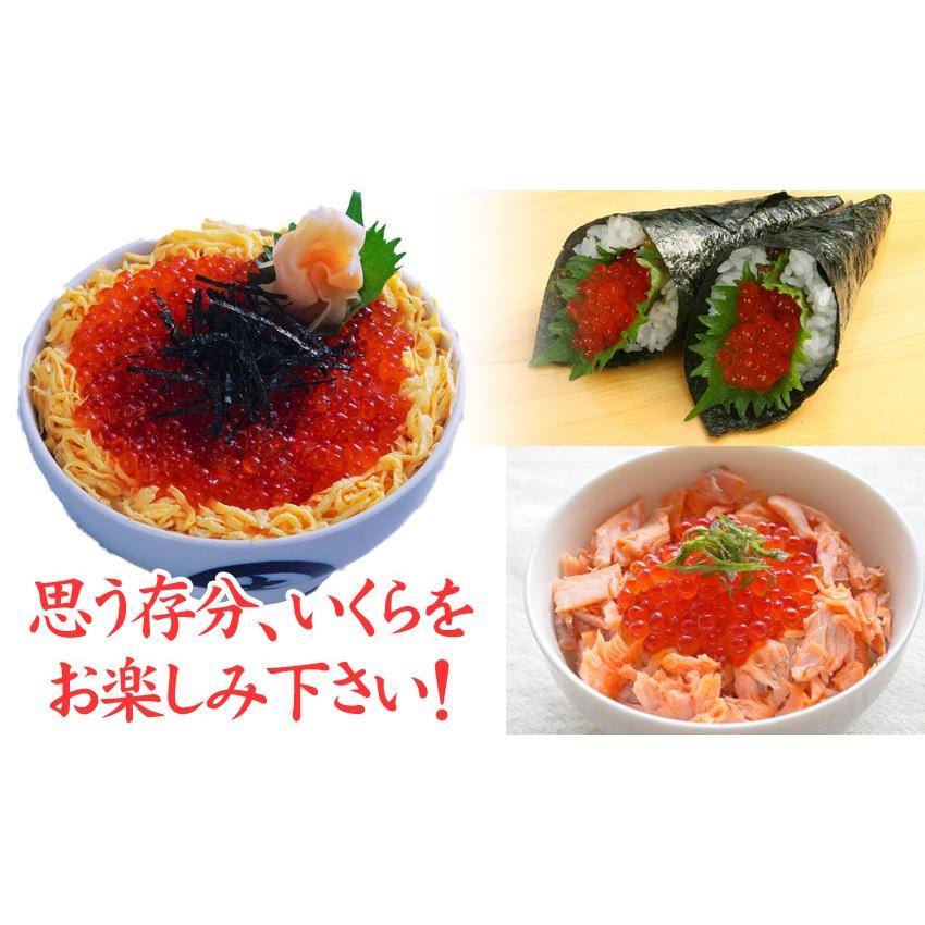 紅鮭いくら醤油漬け500g(250g×2)　イクラ がってん寿司 ギフト