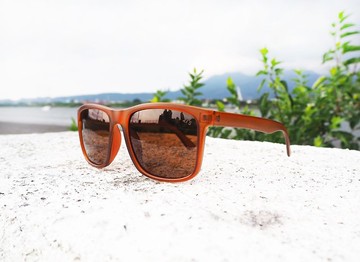 2is ElanC 太陽眼鏡 偏光│百搭方框│咖啡色