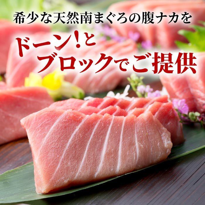 天然南マグロ大トロ付きブロック500g 冷凍 ミナミマグロ インドマグロ インド鮪 まぐろ 鮪 刺身 大トロ 中トロ 赤身 天身 送料無料