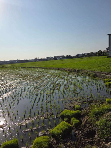 霧峰新埔段盡中投特定農業用地｜台中市霧峰區新埔段