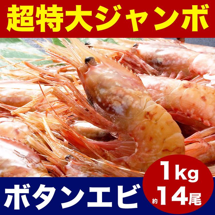 約14尾　1kg　刺身）　ぼたんえび　チラシ寿司　手巻き寿司　ボタンエビ　超特大（海鮮丼　LINEショッピング