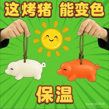 🔥臺灣出貨🔥【店鋪熱銷】變色烤豬車掛件3D打印創意網紅小紅書衕款解壓鑰匙扣太陽照射變紅 MRMN