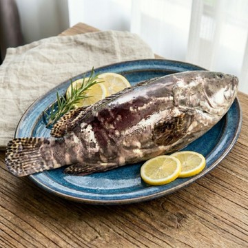 【澎湖區漁會】頂級珍珠石斑(龍虎斑) 400g/尾 (4尾組)｜三去急凍｜宴席級美味｜皮Q肉嫩