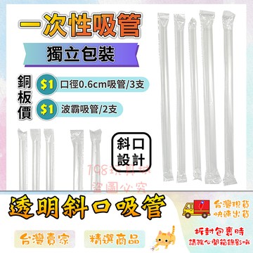 吸管 斜口吸管 一次性吸管 塑膠吸管 獨立包裝吸管 飲料吸管 波霸吸管 🔥台灣現貨🔥 😽198玩具城😽 W1245