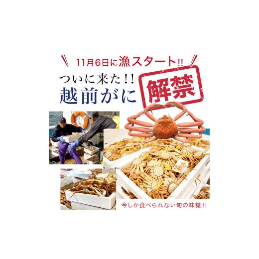 ふるさと納税 福井県 福井市  越前ガニ（オス） ボイル済（300〜400g）×1杯[G-08…