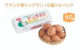 こだわりのブランドたまご　トップラン60個（10個パック×6）お取り寄せ 新鮮 ニワトリ 鶏 卵 たまご 玉子 タマゴ 卵かけご飯 TKG 人気 おすすめ 矢部養鶏場 川島町 埼玉