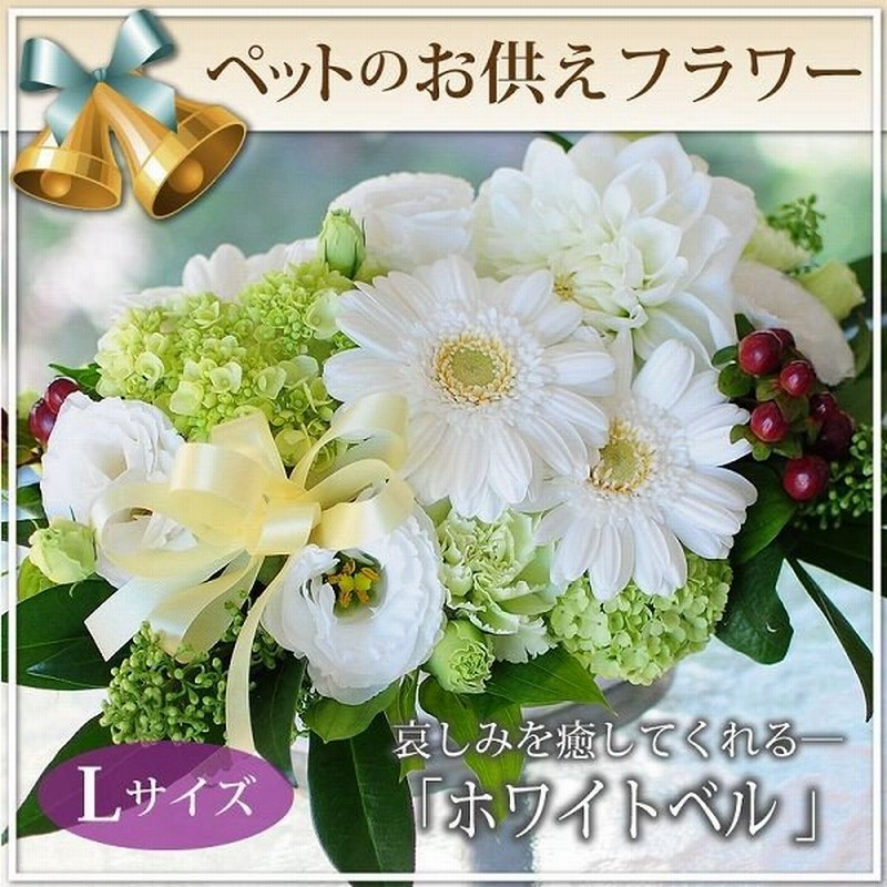 お供え 花 ペット お悔やみ 花 お供え お悔やみ お彼岸 ペット お供え 花 お悔やみ 花 アレンジメント ペット お彼岸 ホワイトベル Lサイズ 即日発送 翌日配達 通販 Lineポイント最大0 5 Get Lineショッピング