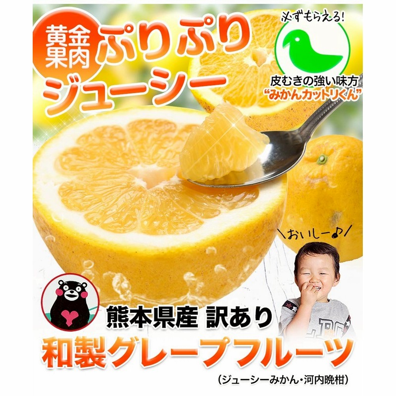 訳あり河内晩柑　糖度高め　樹齢20年　美生柑　和製グレープフルーツ　味濃いめ 河内晩柑 訳あり みかん 和製グレープフルーツ 1.5kg 送料無料