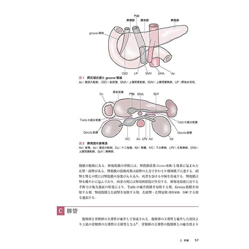 肝胆膵高難度外科手術Web動画付 第3版