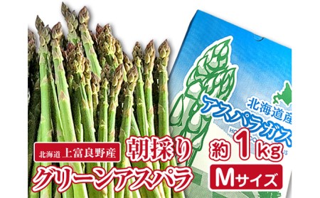 アスパラ専門農家の特選グリーンアスパラ1kg（M）アスパラガス 原農園 あすぱら 野菜 北海道 上富良野町 令和6年発送