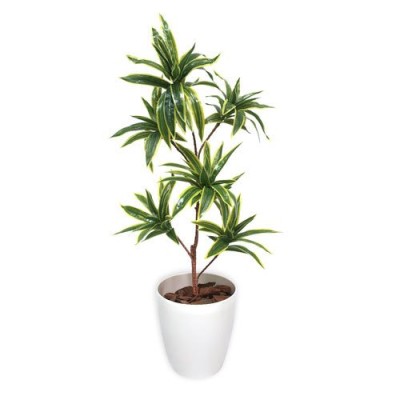 ササガワ　メーカー直送品　人工観葉植物　ソングオブインディア　Ｍサイズ　高さ８０ｃｍ　フェイクグリーン　造花