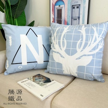【騰源織品｜24hr出貨】清新水藍系列抱枕套 | 共4款 | 45x45