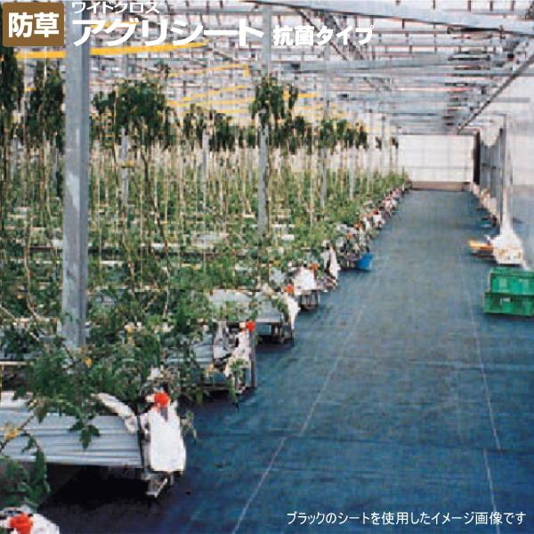 日本ワイドクロス　抗菌アグリシート　SK1515　(防草シート)　シルバーグレー　幅2m×長さ100m