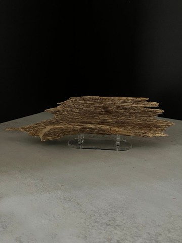 【日常進階款】野生加里曼丹沉香擺件ABK33(43g)