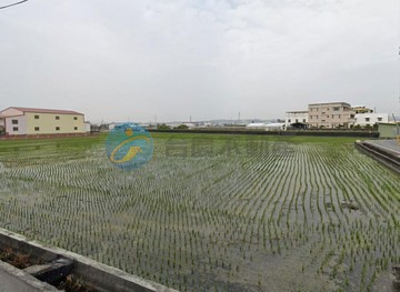 Y060彰化交流道區段徵收潛力股~好棒｜彰化縣花壇鄉口庄段