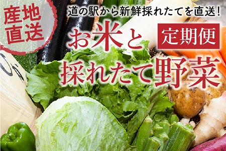 道の駅からお届け!お米と採れたて野菜定期便 013-15