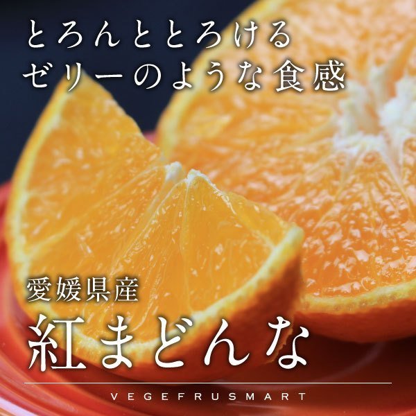 紅まどんな 贈答用 青秀 愛媛県産 みかん お歳暮 L〜2Lサイズ 6〜10玉 1.5kg 送料無料