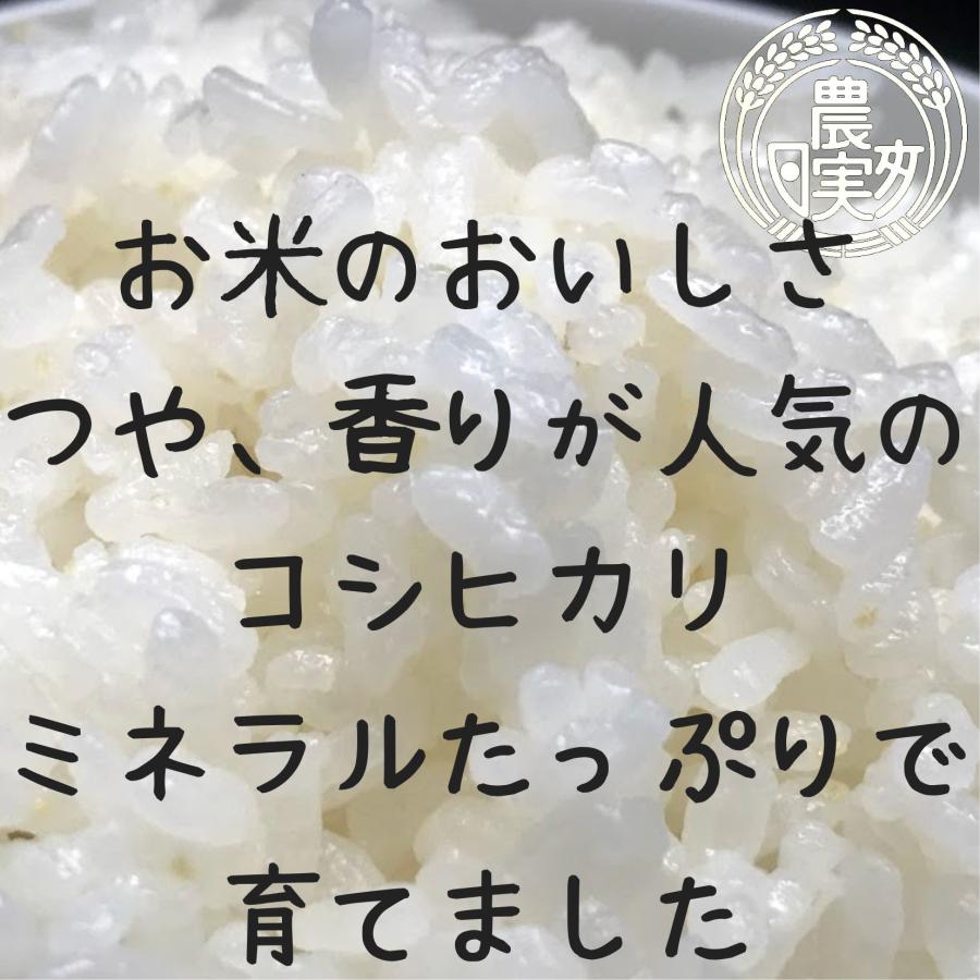 農業学校が作ったコシヒカリ5kg　無洗米　白米　７分つき　３分つき　精米したて　こしひかり　茨城県産