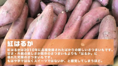 DM02_オーガニックさつまいも(紅はるか）10kg土つき〈茨城県共通返礼品・かすみがうら市〉 ※2023年9月上旬～2024年2月下旬頃に順次発送予定◇