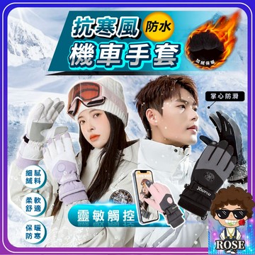 台灣現貨🔥抗寒風🔥冬季機車手套 防風手套 防水手套 防滑 滑雪手套 騎士手套 防寒手套 保暖手套 騎車手套 觸控 防水