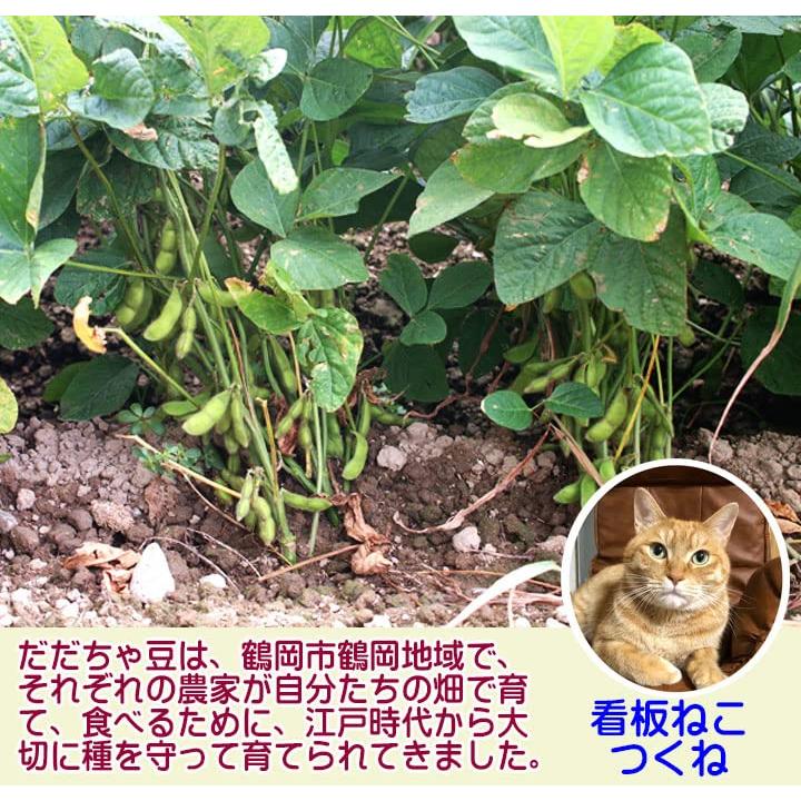 だだちゃ豆冷凍 500ｇ 山形県鶴岡市 だだ茶豆 枝豆 食の都庄内 佐徳