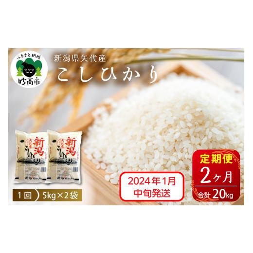 ふるさと納税 新潟県 妙高市 新潟県矢代産コシヒカリ10kg(5kg×2袋)×2回（計20kg）