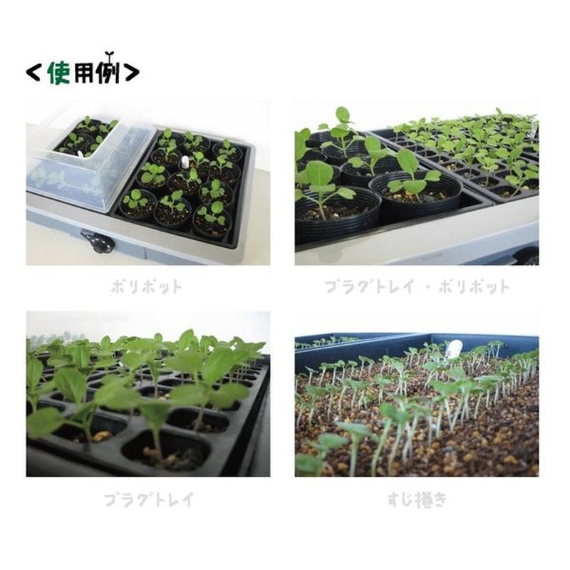 菜友器 昭和精機工業 苗作り 発芽 育苗 ガーデニング 農園 農業 菜園 園芸 タS PG-30