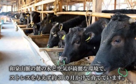 国産 黒毛和牛 なにわ黒牛 佃煮 80g×4箱_1957