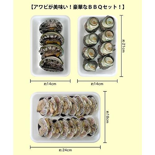 アワビが美味い！豪華なＢＢＱセット！（アワビ4個サザエ8個大アサリ8個）[魚介類]