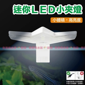 魚寶貝【海神✨LED夾燈】 全白燈、藍白燈〞（LED燈、水族燈、魚缸夾燈、水族夾燈、魚缸夾燈、水族LED燈、魚缸LED燈