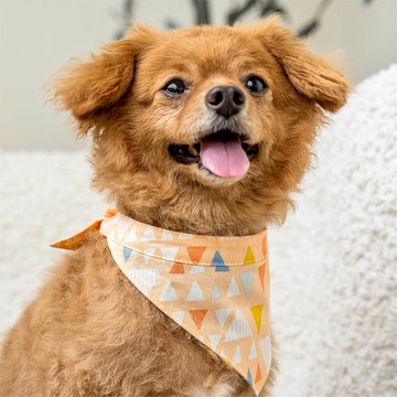 雙面綁帶領巾_北歐童話_XS/S/M/L