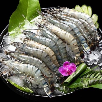 【梓官區漁會】嚴選活凍大草蝦12入350g/盒