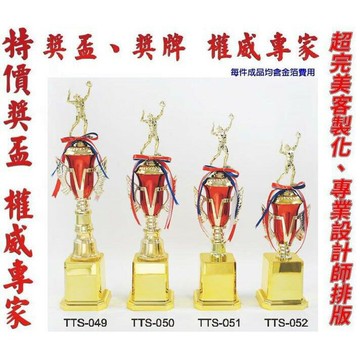 獎盃 獎牌 客製化 訂製各式比賽獎盃皆可承製喔 TTS-049 ~ TTS-052【大自在運動休閒精品店】