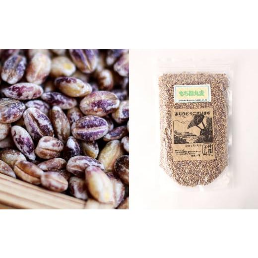 ふるさと納税 大分県 九重町 さとうファームの もち裸丸麦 2.8kg(700g×4袋) お米 米 もち麦