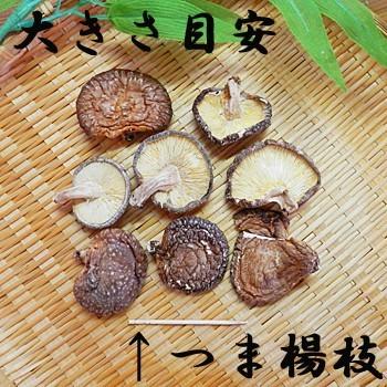 乾椎茸 20g×1入 干し椎茸 乾燥 しいたけ シイタケ 干ししいたけ ほししいたけ 乾燥 しいたけ 干し シイタケ 国産 国内産 日本産