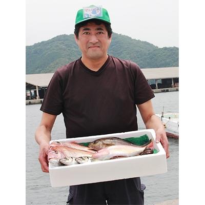 ふるさと納税 八幡浜市 無添加・天日干し　ピチピチ朝獲れ鮮魚の一夜干し8枚セット