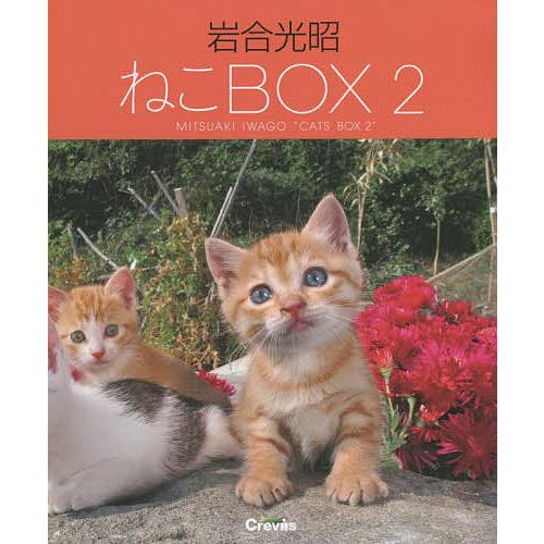 写真集 岩合光昭 ねこBOX 4巻セット