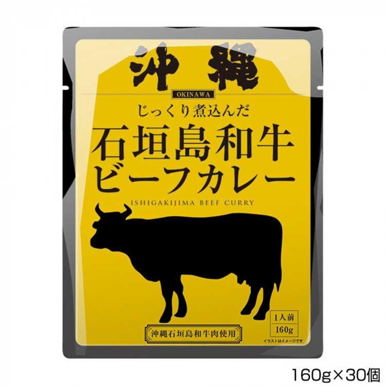 沖縄北谷自然海塩 沖縄石垣島和牛ビーフカレー 160g×30個 P7  （送料無料） 直送