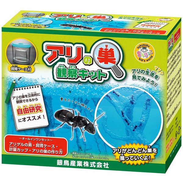 アリの巣観察キット 夏休み 自由研究 小学生 キット あり 蟻 飼育セット 実験セット 観察 通販 Lineポイント最大0 5 Get Lineショッピング