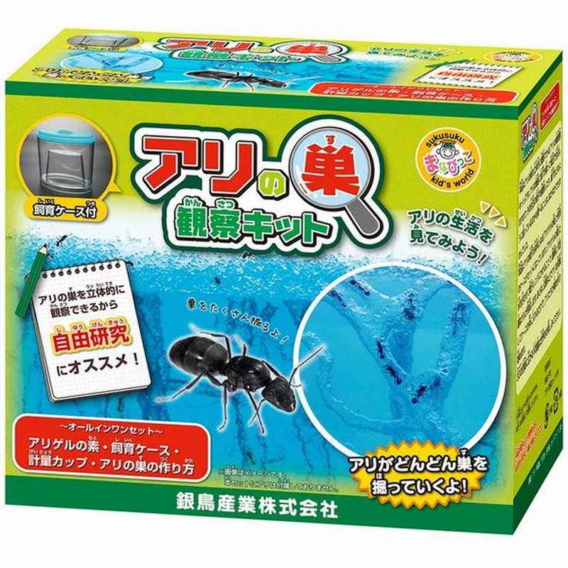 アリの巣観察キット 夏休み 自由研究 小学生 キット あり 蟻 飼育セット 実験セット 観察 通販 Lineポイント最大0 5 Get Lineショッピング
