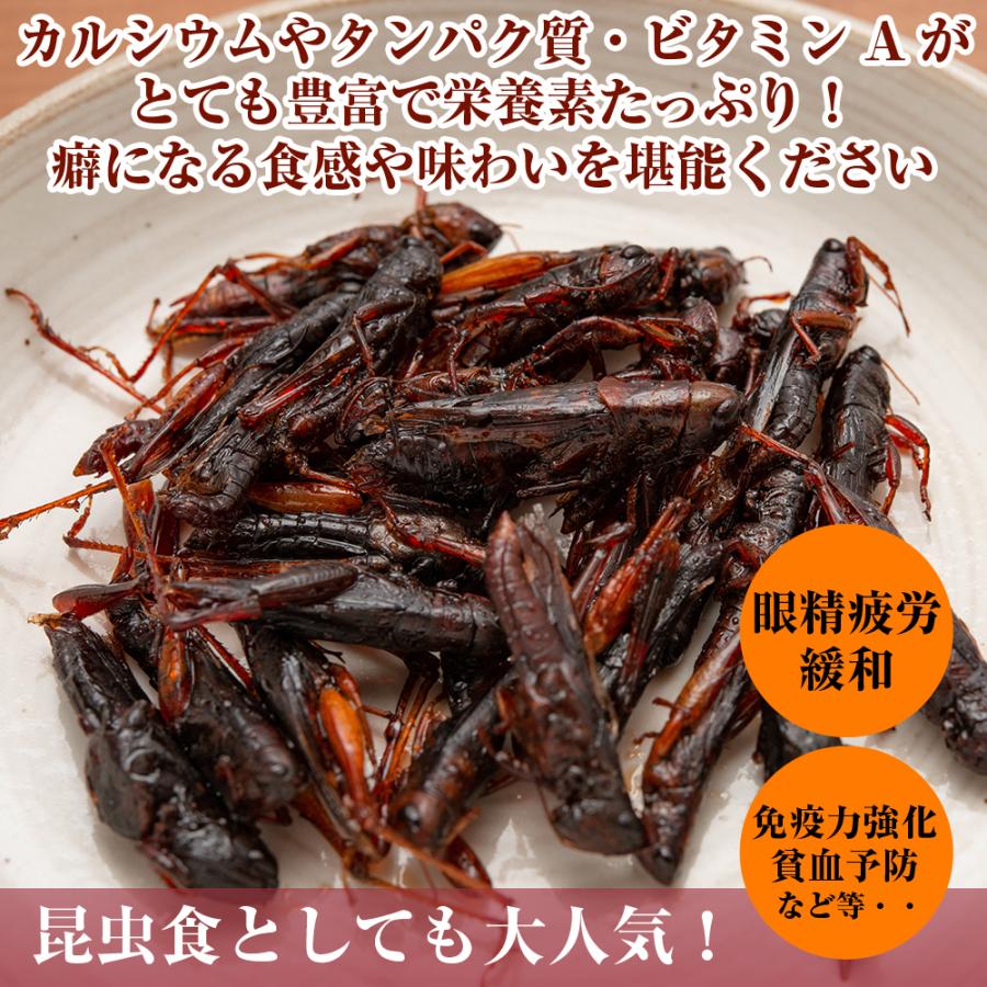 イナゴ佃煮 80g 2人前程度 食べきりサイズ いなご イナゴ 佃煮 飴煮 昆虫食 13時まで当日発送