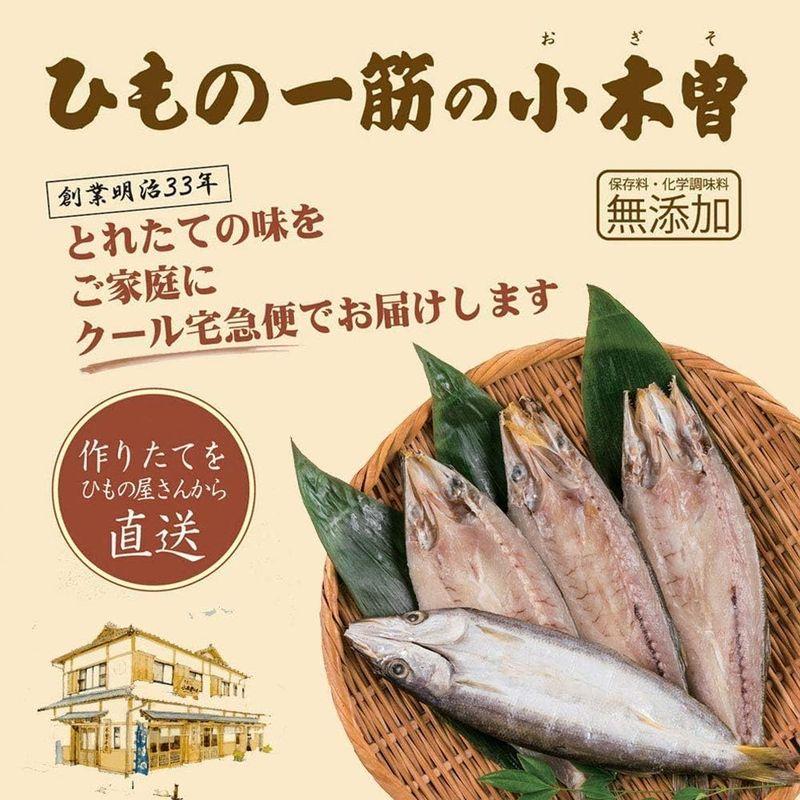 干物セット かます ひもの4枚セット 伊豆 下田 名産 ひもの カマス 無添加 お取り寄せ