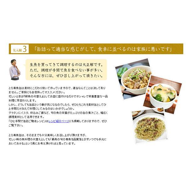 いわし イワシ イワシ缶 千葉産直 ミニとろイワシ味付 100g 個セット