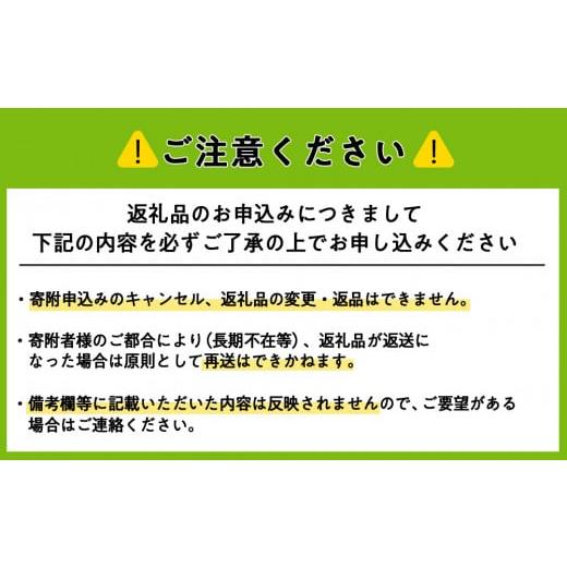 ふるさと納税 北海道 東神楽町 ＜新米発送＞《奇数月お届け》ななつぼし 2kg×2袋 《真空無洗米》全6回